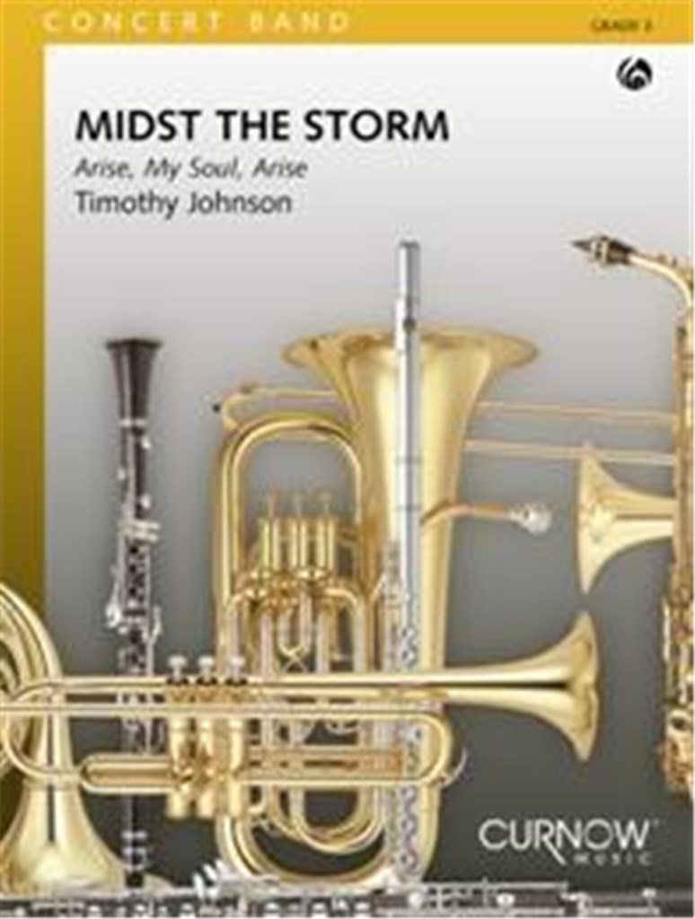Midst the Storm